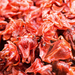 HIBISCUS