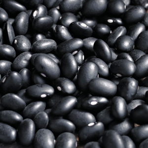 HARICOTS NOIRS
